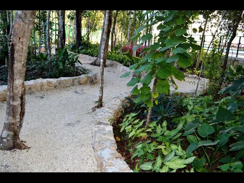 Hotel Punta Estrella Playa del Carmen Apartment